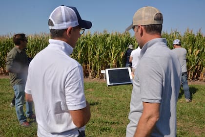 Bayer realiza ensayos en más de 200 localidades del país, que permiten caracterizar mejor a sus híbridos y conocer su comportamiento en diferentes ambientes.