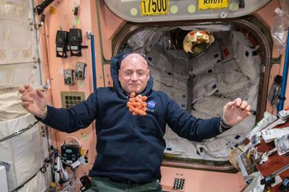 Los cambios en la dieta, la microgravedad y el aumento en la radiación son algunas de las condiciones que enfrentan los astronautas en la Estación Espacial Internacional