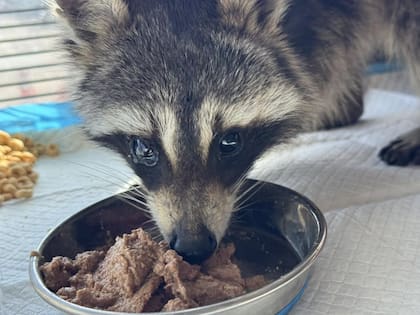 Beasley perdió su ojo derecho.