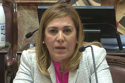 Beatriz Ávila, senadora por Tucumán del Partido por la Justicia Social