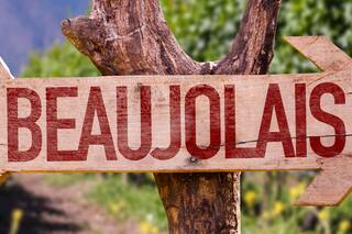 Vinos: tintos frescos, los beaujolais argentos crecen entre $500 y $1200