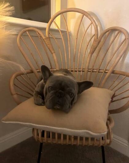 Bebé vivió cuatro años con la familia Lewis