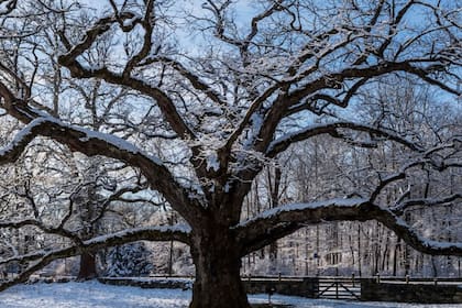 Bedford cuenta con más de 16 mil habitantes y fue considerado el pueblo más seguro del estado
