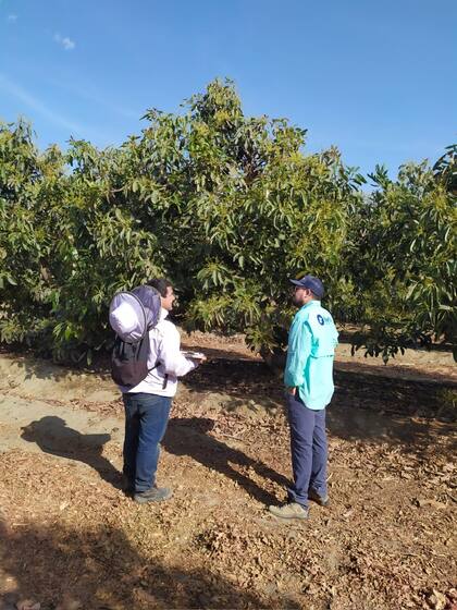 Beeflow aplica tecnologías en la alimentación de los insectos para fortalecerlas y generar más visitas a las flores de interés.