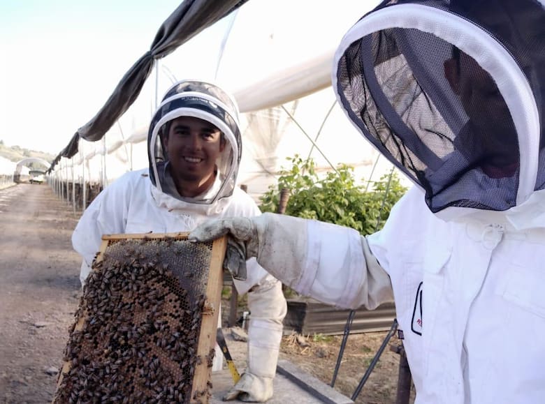 Beeflow, la startup argentina que impulsa la productividad agrícola con abejas y escala a nivel global