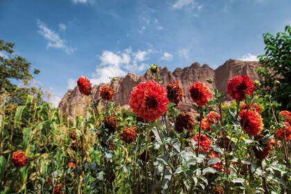 Belén, a 320 km de San Fernando