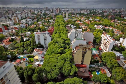 Los árboles a lo largo de la avenida Melián, en Belgrano