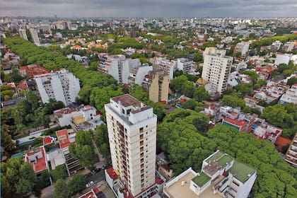 Los árboles a lo largo de la avenida Melián, en Belgrano