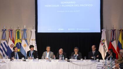 Beliz, Reyser Travers, Cornejo, Faurie, Cabrera y Raimondi estuvieron en el seminario Mercosur-Alianza del Pacífico