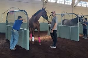 La campeona argentina toma ritmo con un dueño que también es peón y un entrenador que vive el sueño con ayuda de Adolfito Cambiaso