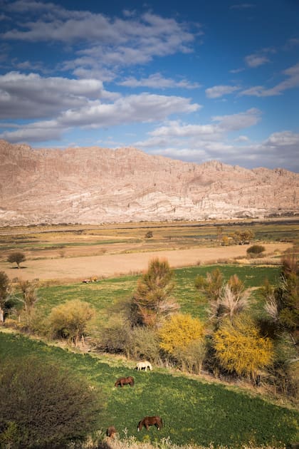 Bellísima vista de los Valles Calchaquíes desde la galería del hospedaje de Finca El Carmen, un lugar que tuvo ocho dueños -desde los jesuitas a un cura español apellidado Terres- hasta pasar a manos de la familia Miralpeix.