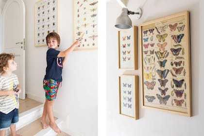 Beltrán y su hermano Santiago juegan a reconocer mariposas y abejas de una de las tantas láminas en su cuarto (tienda de los Kew Gardens, Londres