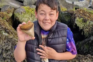 Ben es el nombre del pequeño de 13 años que encontró un diente de megalodón en una playa de Inglaterra, una pieza que perteneció a un tiburón gigante y que tiene millones de años de antigüedad