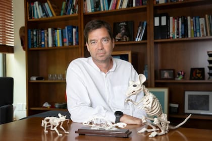 Bence Ölveczky lidera el equipo de la universidad de Harvard que creó una rata virtual controlada por un cerebro digital, que vive en un simulador y con la que buscan entender mejor cómo el cerebro controla el movimiento de la extremidades del cuerpo