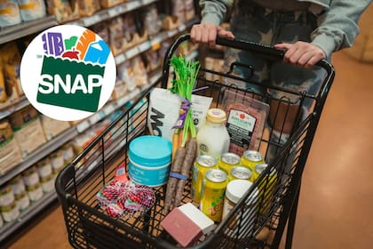 Beneficiarios de SNAP en Newark podrán obtener ayuda económica y alimentos