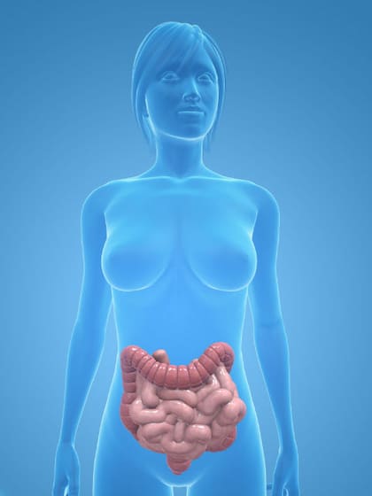 Beneficios de la Hidroterapia colónica. Foto: Latin Stock