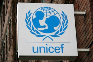 Unicef le contestó Bertie Benegas Lynch, el diputado de Milei que sugirió que los chicos puedan trabajar