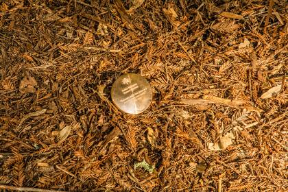 Un marcador en el piso señala el área donde se esparcirán las cenizas