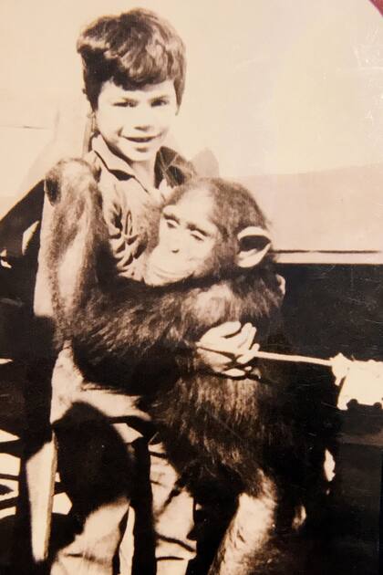 La chimpancé Jeni aprendió a cuidarlo y a protegerlo