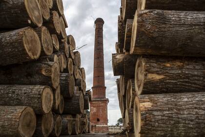 Bienalsur 2019. Desde el otro lado, de Pablo Reinoso
