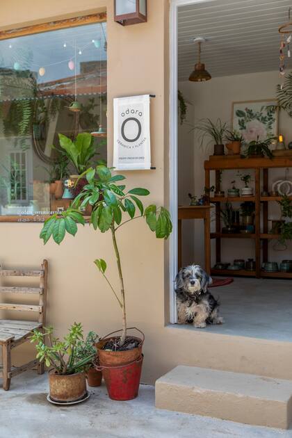 Bienvenidos a Odara.