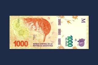 A tres años de los billetes, ¿qué motivó al BCRA a crear una serie con animales?