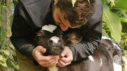 Billy, uno de los encargados del santuario junto a Cuore a los pocos días de la llegada a su nuevo y definitivo hogar