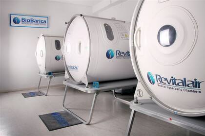 La empresa Bio Brica produce cmaras hiperbricas en la Argentina y las vende al mundo