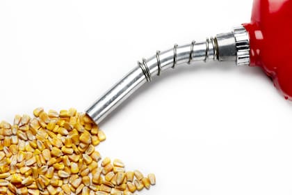 En la primera Ley Bases el Gobierno buscaba cambios para los biocombustibles que no prosperaron