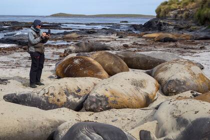 El investigador viaja a la Isla de los Leones Marinos a trabajar desde 1995