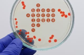 El otro sector con alto potencial que puede impulsar a la Argentina