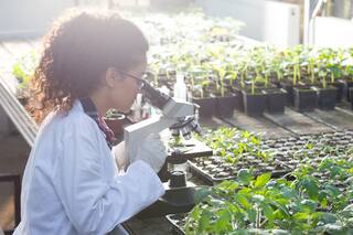 Con la edición génica, un mundo nuevo está por venir