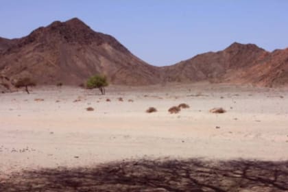 Bir Tawil es un territorio de unos 2060 kilómetros cuadrados y es prácticamente yermo