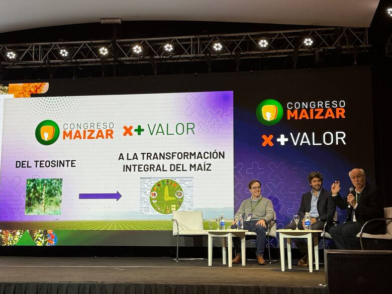 20.000 nuevos empleos con el maíz: un modelo académico para la transformación productiva