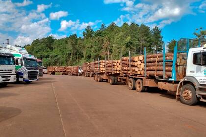 En Misiones se vive un boom maderero, ligado a la construcción