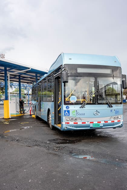Biusa, una empresa privada de autobuses, está sustituyendo toda su flota de 60 unidades por modelos eléctricos de batería fabricados por King Long, una marca china (Tony Cenicola/The New York Times)