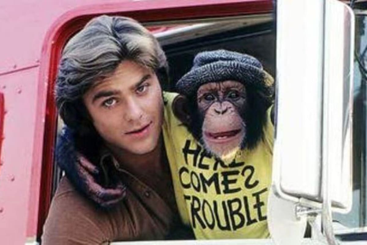 Un camión, un chimpancé y un protagonista que debió luchar siempre contra el olvido - LA NACION