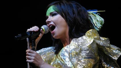 Björk y un hombre obsesionado, que casi pone en peligro su vida