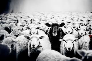 “La mayoría de la gente no quiere la libertad realmente, porque la libertad implica responsabilidad"