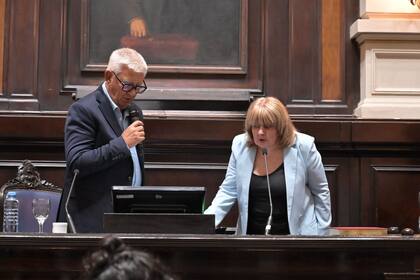 Blanca Alessi, del bloque exlibertario Unión y Libertad, asumió una de las vicepresidencias de la Cámara baja provincial