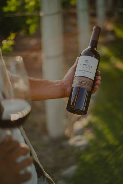 Blancos, tintos, espumantes y blends esperan en el Hot Sale de Norton.