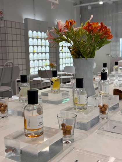 Blind es una marca de esencias únicas, ideales para quienes quieren tener el perfume más exclusivo