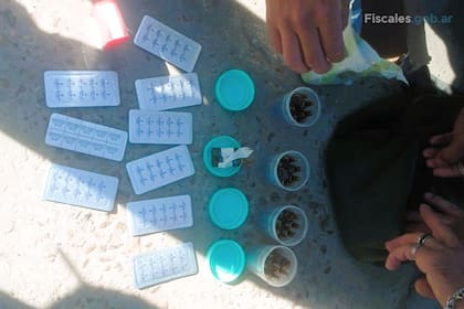 Blísteres con otras drogas y ampollas de fentanilo incautados en poder del enfermero al momento de su detención