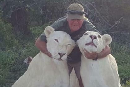 Blood Lions, una organización protectora de leones, salió a expresar lo obvio luego de la muerte de Mathewson: que estos animales no son mascotas, sino depradadores que no pierden su instinto