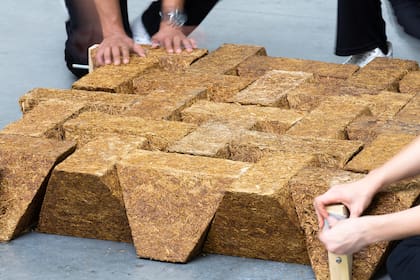 Bloques de Sugarcrete, ladrillos hechos con caña de azúcar para volver más sustentable la construcción