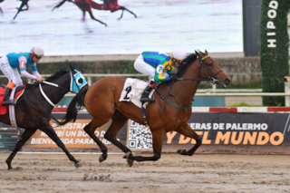 Un favorito lógico, dos que buscan desquite, un invicto que reaparece y hasta... ¡un debutante!