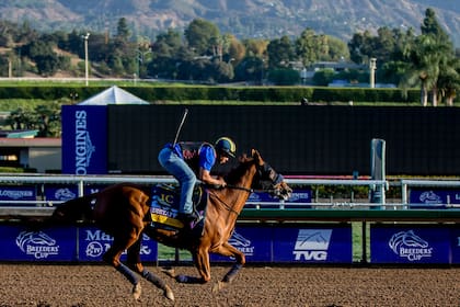 Blue Prize en un ejercicio del miércoles en Santa Anita Park, con el majestuoso fondo de las montañas de San Gabriel.