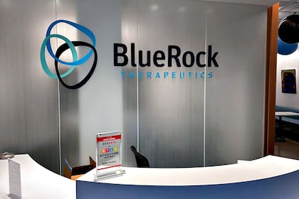 BlueRock fue adquirida por Bayer para potenciar el alcance de sus investigaciones