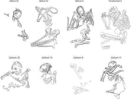 Boceto que enseña cómo fueron enterrados los cuerpos en posición fetal, un símbolo funerario que compartían el Homo sapiens y los neandertales