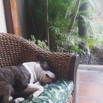 Bocha es sordo y perdió un ojo en un accidente